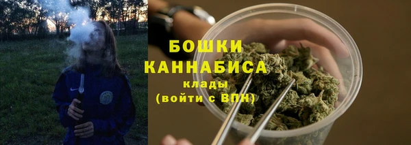 прущие крисы Верея