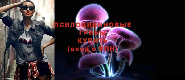 твердый Бронницы