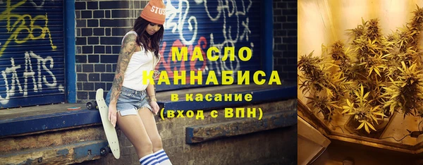 молекула духа Верхний Тагил