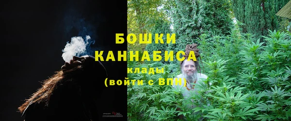 прущие крисы Верея