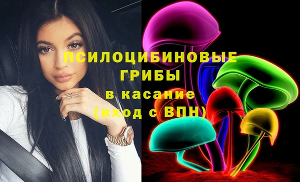 сатива Верхнеуральск