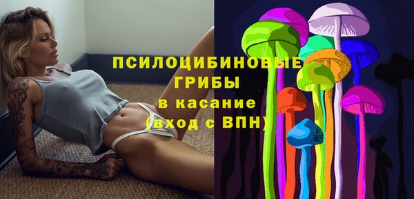 сатива Верхнеуральск
