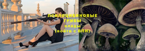 прущие крисы Верея