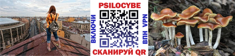 Псилоцибиновые грибы мицелий  Дюртюли 